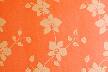 Guide how to applying filler to a wallpapered wall